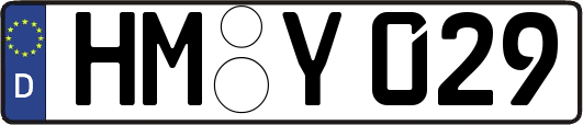 HM-Y029