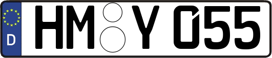 HM-Y055