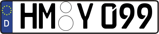 HM-Y099