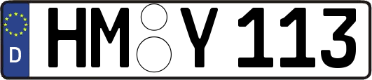 HM-Y113