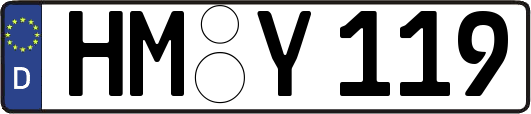 HM-Y119