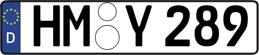 HM-Y289