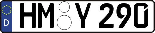 HM-Y290
