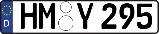 HM-Y295