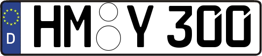 HM-Y300