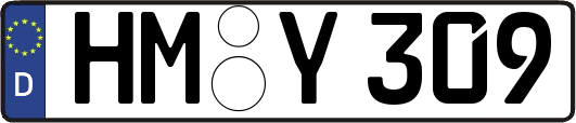 HM-Y309