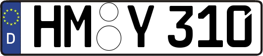 HM-Y310