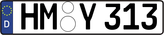 HM-Y313