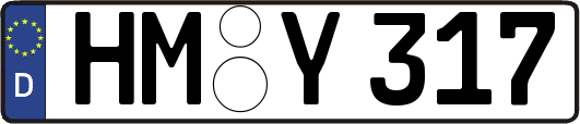 HM-Y317