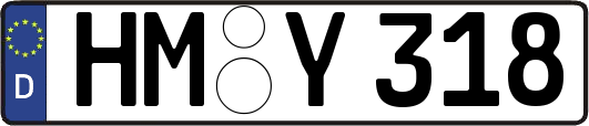 HM-Y318
