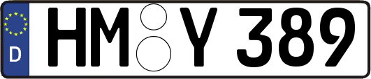HM-Y389