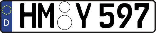 HM-Y597