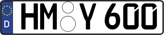 HM-Y600