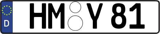 HM-Y81