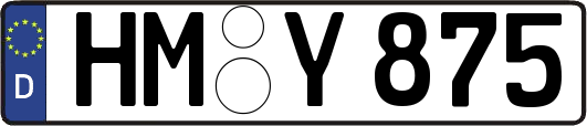 HM-Y875