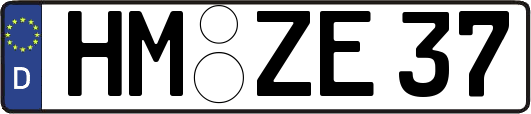 HM-ZE37