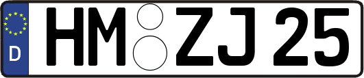 HM-ZJ25