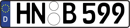 HN-B599