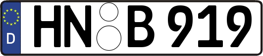 HN-B919