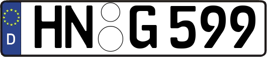 HN-G599