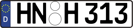 HN-H313