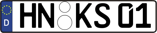 HN-KS01