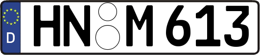 HN-M613