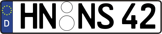 HN-NS42