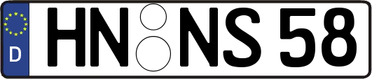 HN-NS58