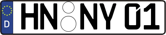 HN-NY01