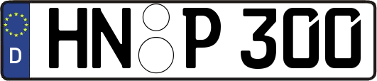 HN-P300