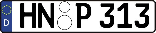 HN-P313
