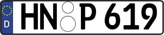 HN-P619