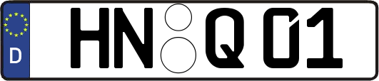 HN-Q01