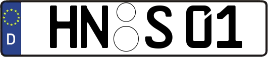 HN-S01