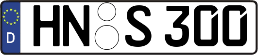 HN-S300