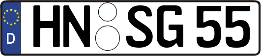 HN-SG55