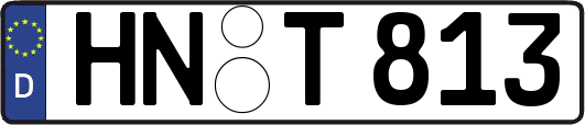 HN-T813