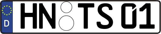 HN-TS01