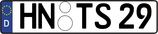 HN-TS29
