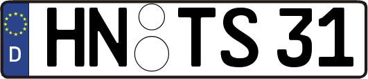 HN-TS31