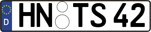 HN-TS42