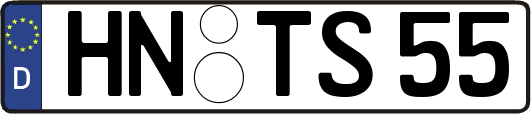 HN-TS55