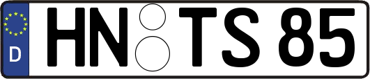 HN-TS85