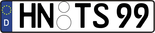 HN-TS99