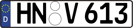 HN-V613