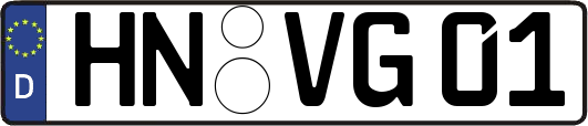 HN-VG01