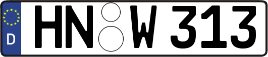 HN-W313
