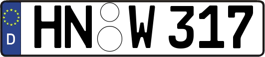 HN-W317