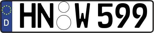HN-W599